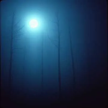 Nøetica